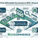 How to Find Affordable Ecommerce SEO | Soocommerce